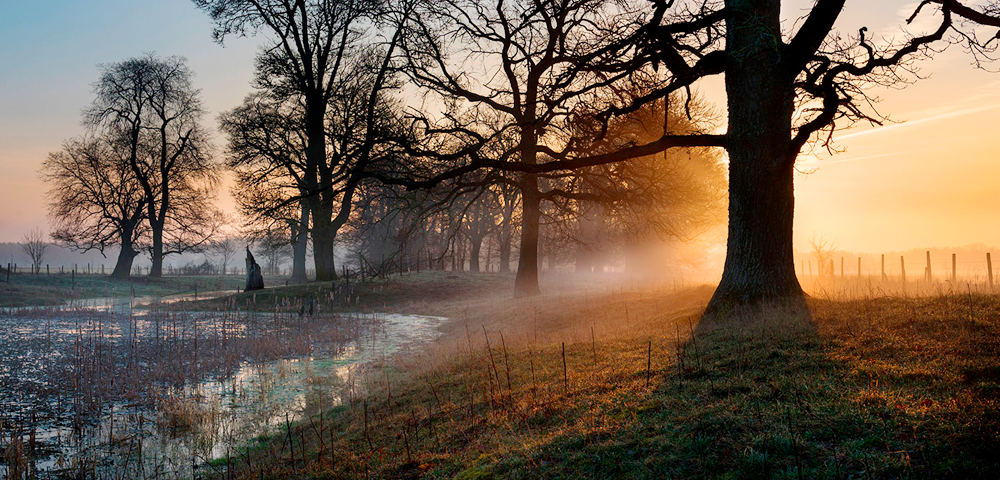 gotland-visby-hotell-stenugnen-roma-erbjudanden