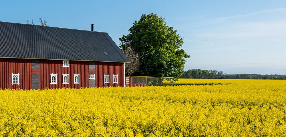 gotland-visby-hotell-stenugnen-var-erbjudanden